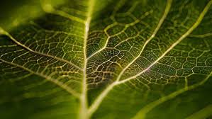 扫描新金融生态图谱：九大赛道上演“百团大战”，代币化、稳定币和新银行成主战场