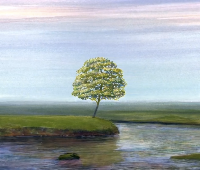 青子的无限花园