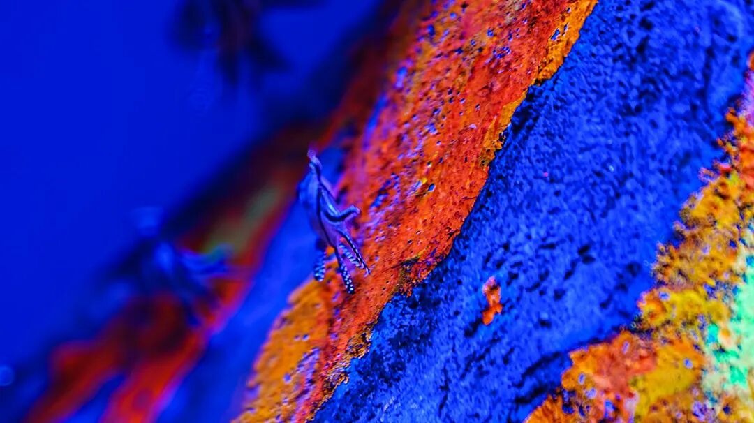 Is RWA profitable? A comprehensive interpretation of the cryptocurrency regulatory policies outlined in the "2.6 Notice".